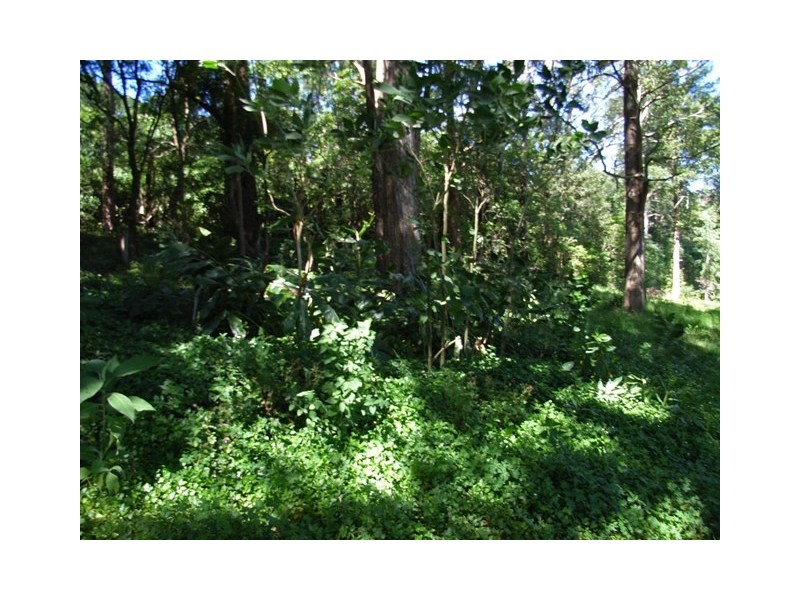 Kurrajong Heights NSW 2758