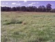 Greendale NSW 2745