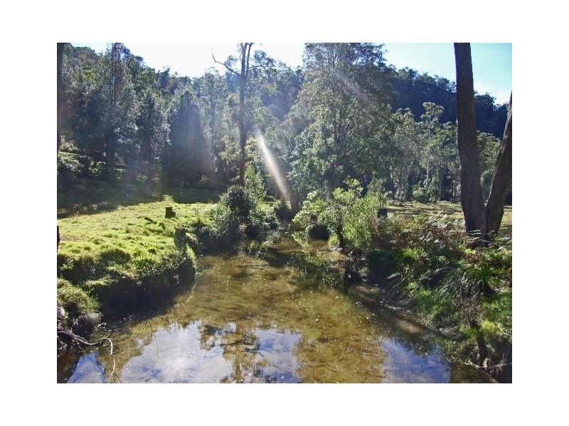 Lower Mangrove NSW 2250
