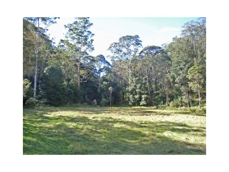 Lower Mangrove NSW 2250