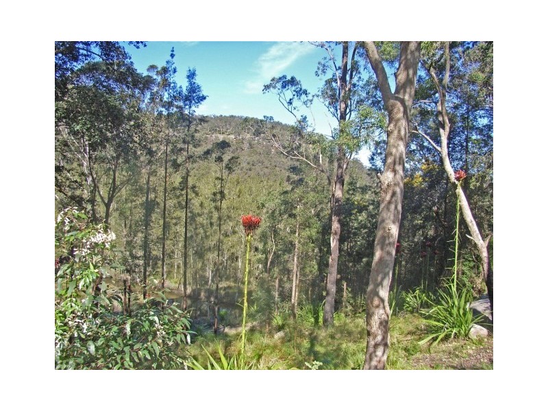 Lower Mangrove NSW 2250