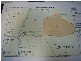 Putty NSW 2330