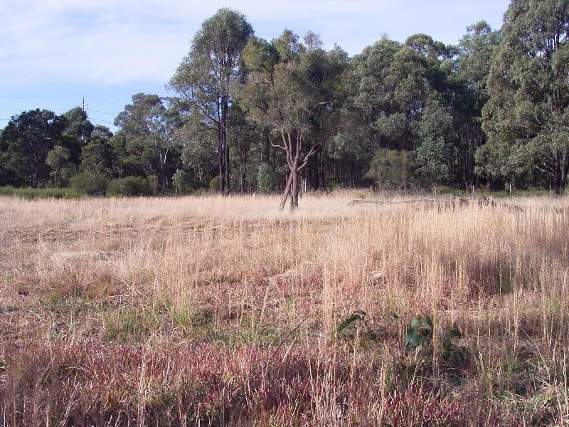 Londonderry NSW 2753