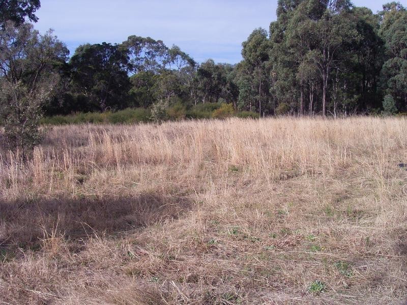 Londonderry NSW 2753