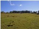 East Kurrajong NSW 2758