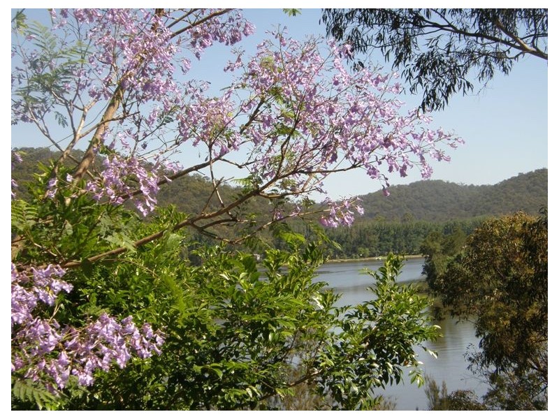 Lower Portland NSW 2756
