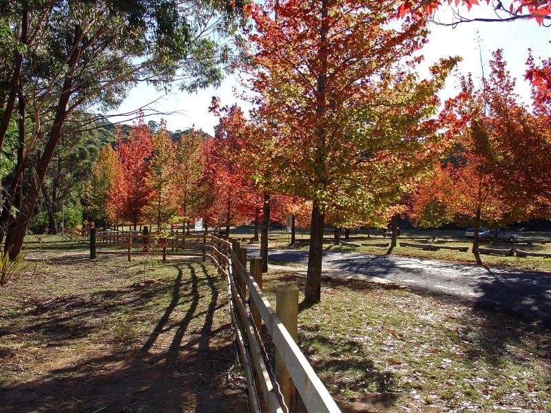 Mount Wilson NSW 2786