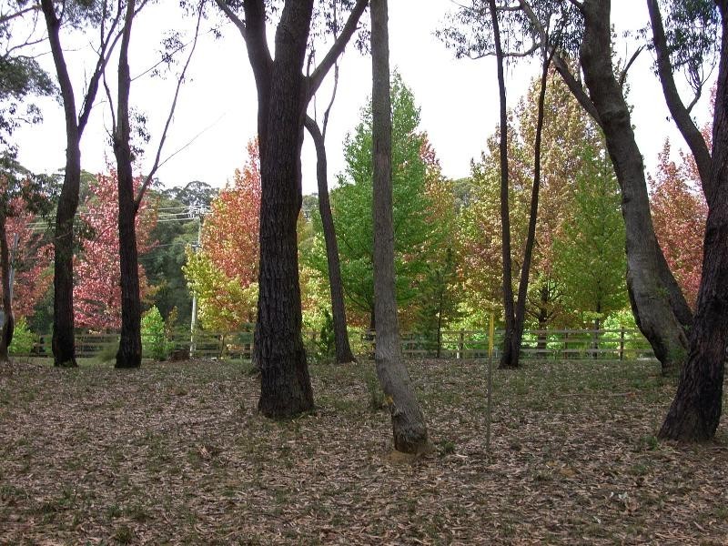 Mount Wilson NSW 2786