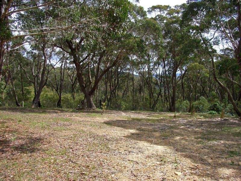 Mount Wilson NSW 2786