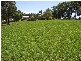 Kurrajong NSW 2758