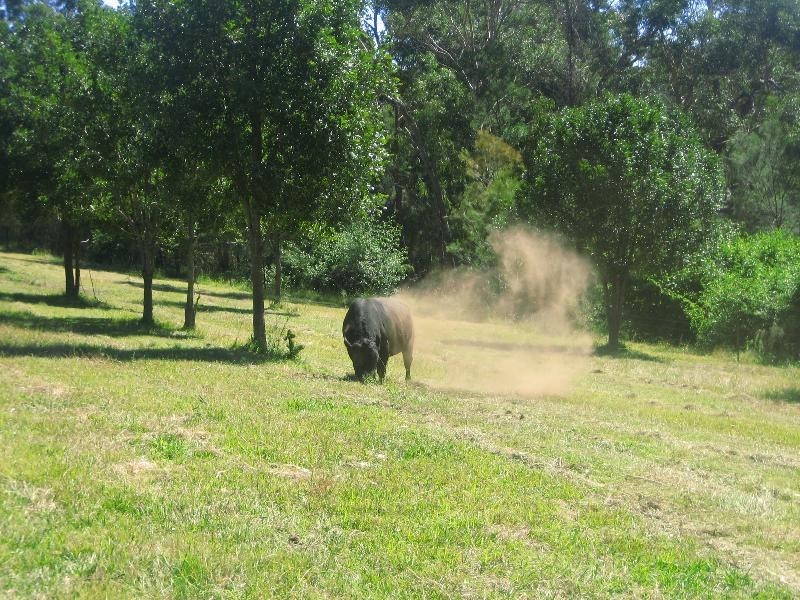 South Maroota NSW 2756