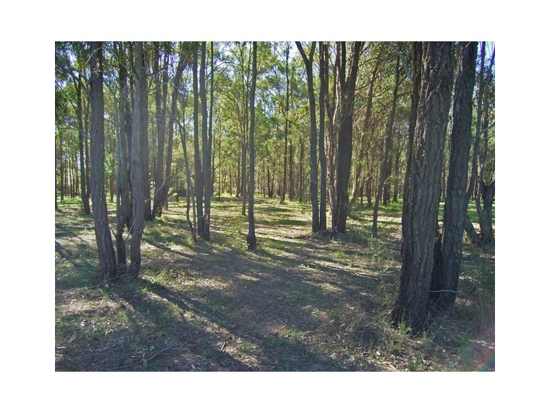 Orchard Hills NSW 2748