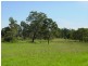 Wilberforce NSW 2756