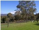 Kurrajong NSW 2758