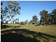 Vineyard NSW 2765