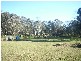 Vineyard NSW 2765