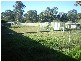 Vineyard NSW 2765