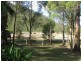 Spencer NSW 2775