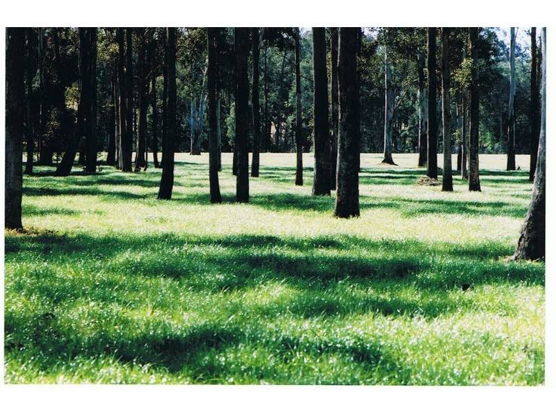 Freemans Reach NSW 2756