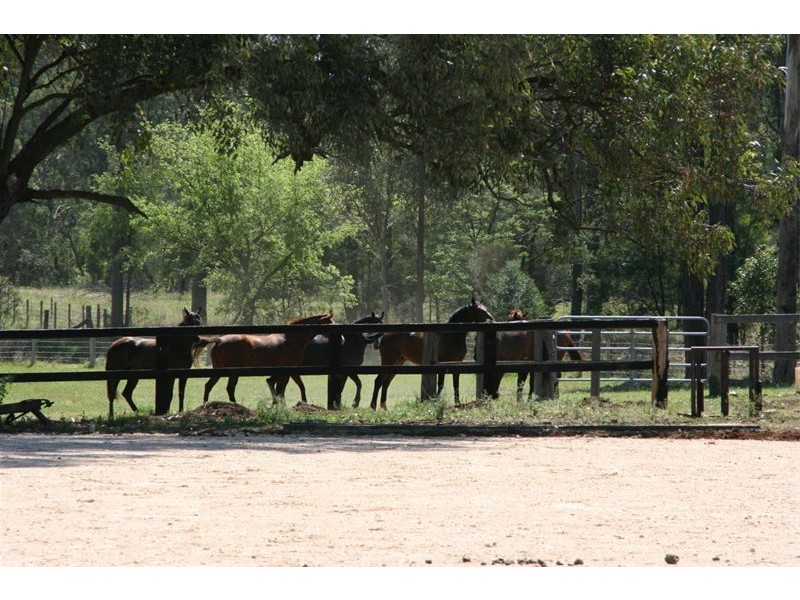 Freemans Reach NSW 2756