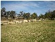 Box Hill NSW 2765