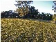 East Kurrajong NSW 2758