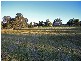 East Kurrajong NSW 2758