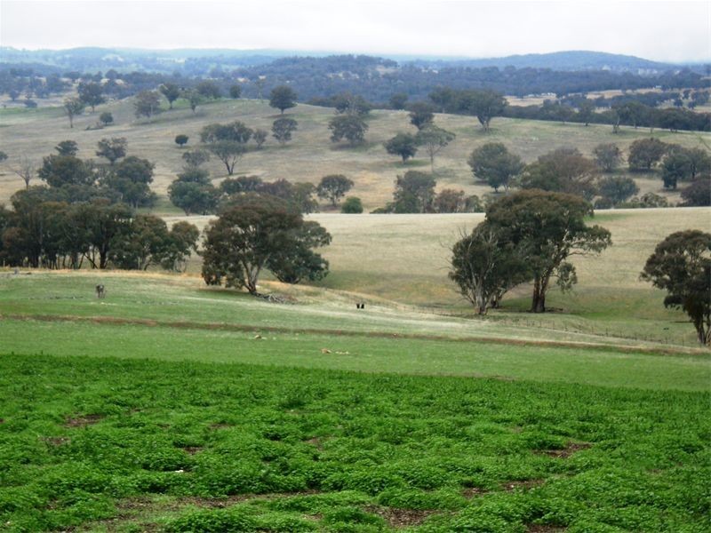 Cowra NSW 2794