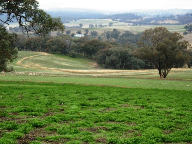 Cowra NSW 2794