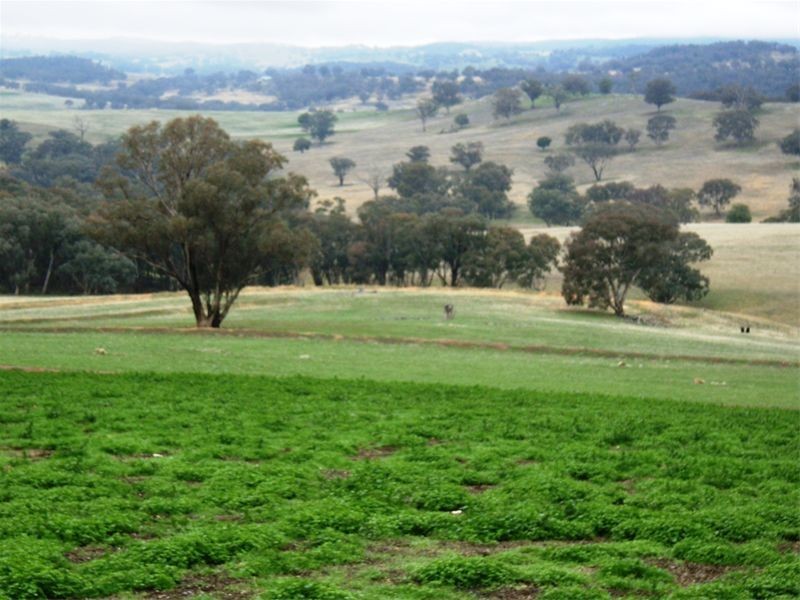 Cowra NSW 2794