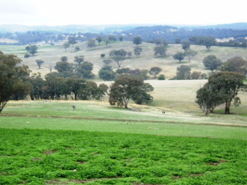 Cowra NSW 2794