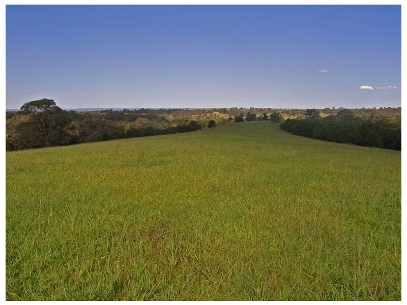 Kurrajong NSW 2758