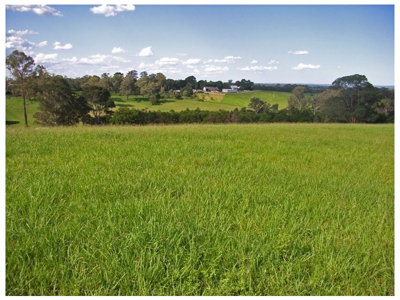 Kurrajong NSW 2758