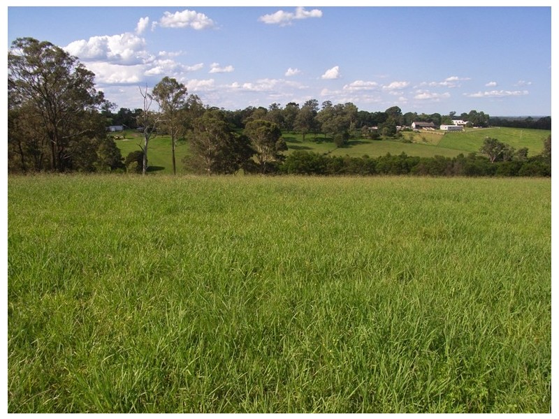 Kurrajong NSW 2758