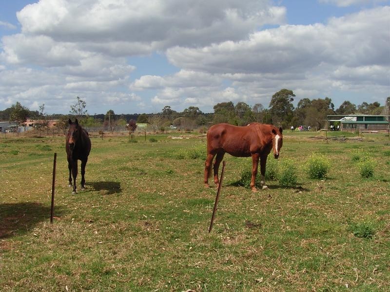 Shanes Park NSW 2747