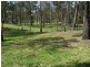 Glossodia NSW 2756