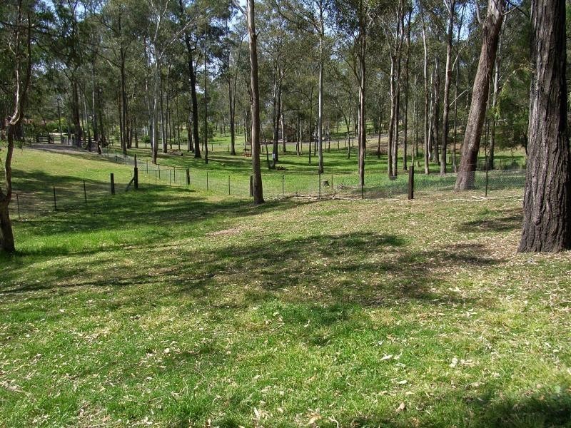 Glossodia NSW 2756