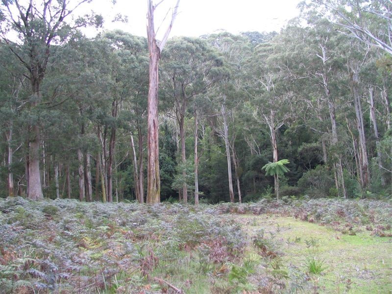 Howes Valley NSW 2330