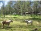Maraylya NSW 2765