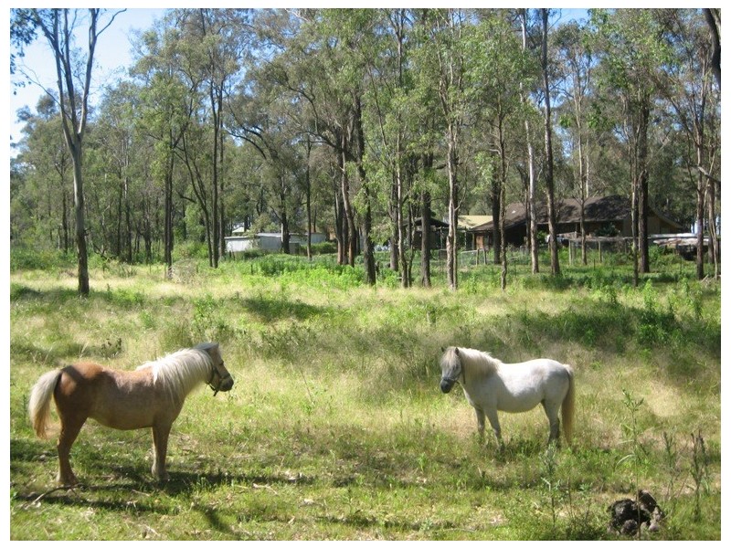 Maraylya NSW 2765