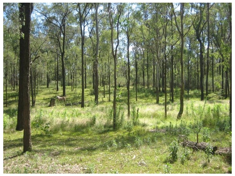 Maraylya NSW 2765