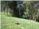 Kurrajong NSW 2758
