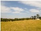 Tennyson NSW 2754