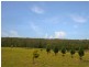 Tennyson NSW 2754