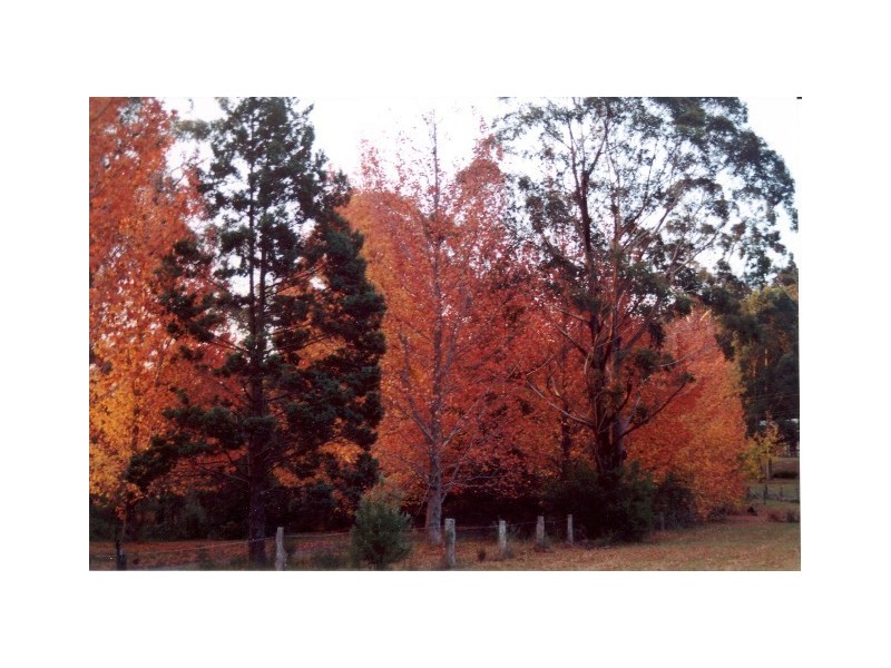 Mountain Lagoon NSW 2758