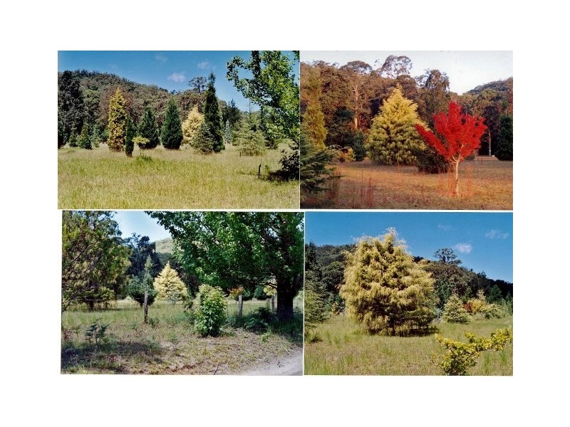 Mountain Lagoon NSW 2758