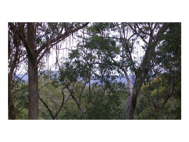 Colo Heights NSW 2756