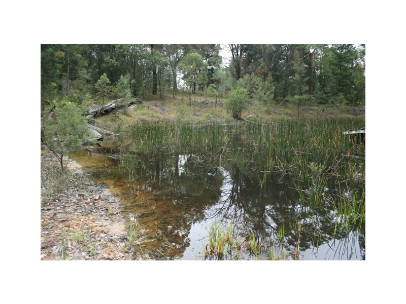 Colo Heights NSW 2756