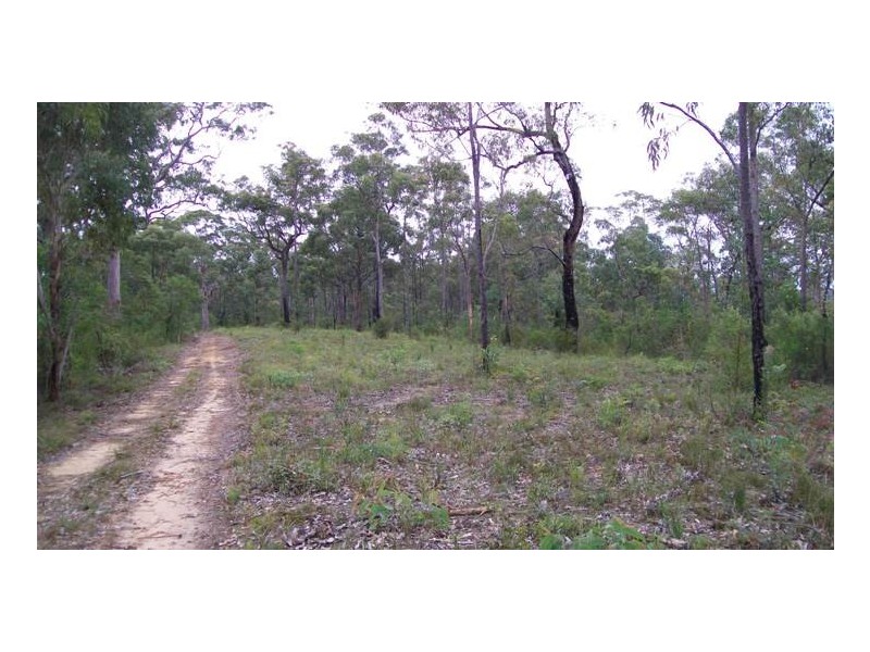 Colo Heights NSW 2756