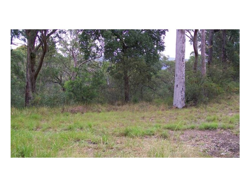 Colo Heights NSW 2756